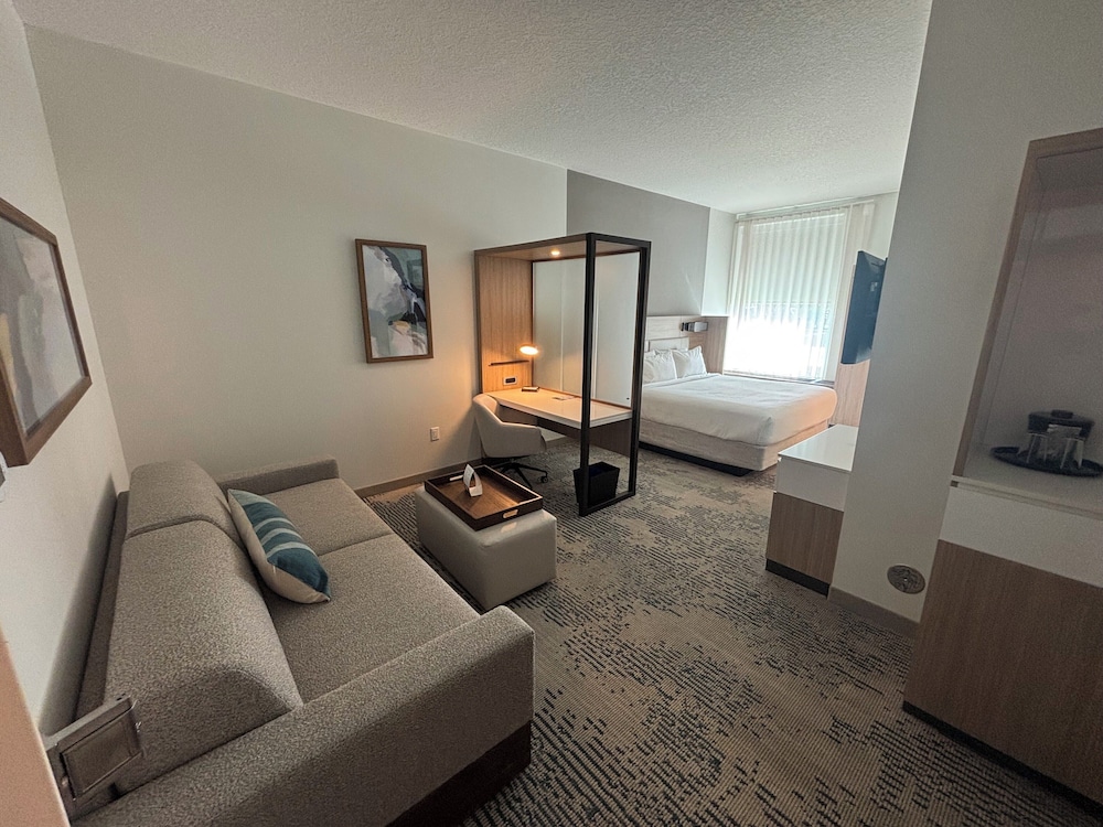 Suite, 1 King Bed with Sofa bed photo 2