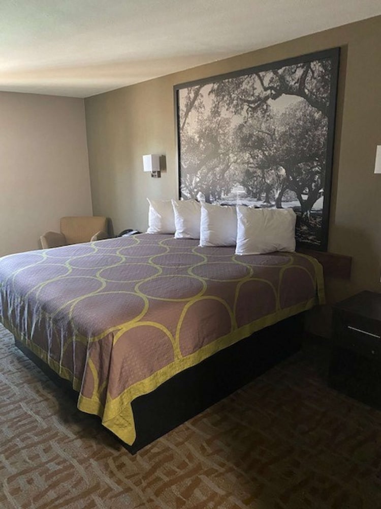 Standard Room, 1 King Bed, Accessible, Bathtub - Photo 1