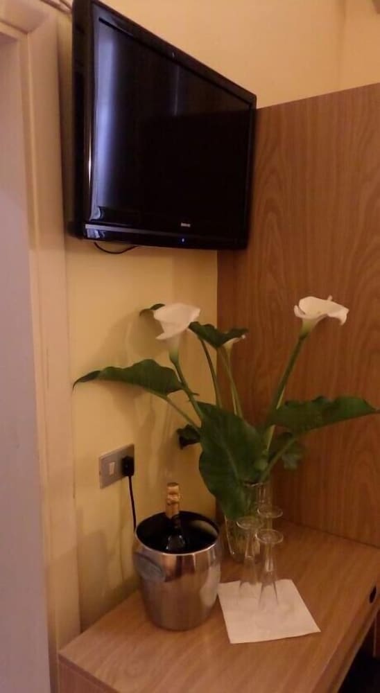 Single Room photo 2