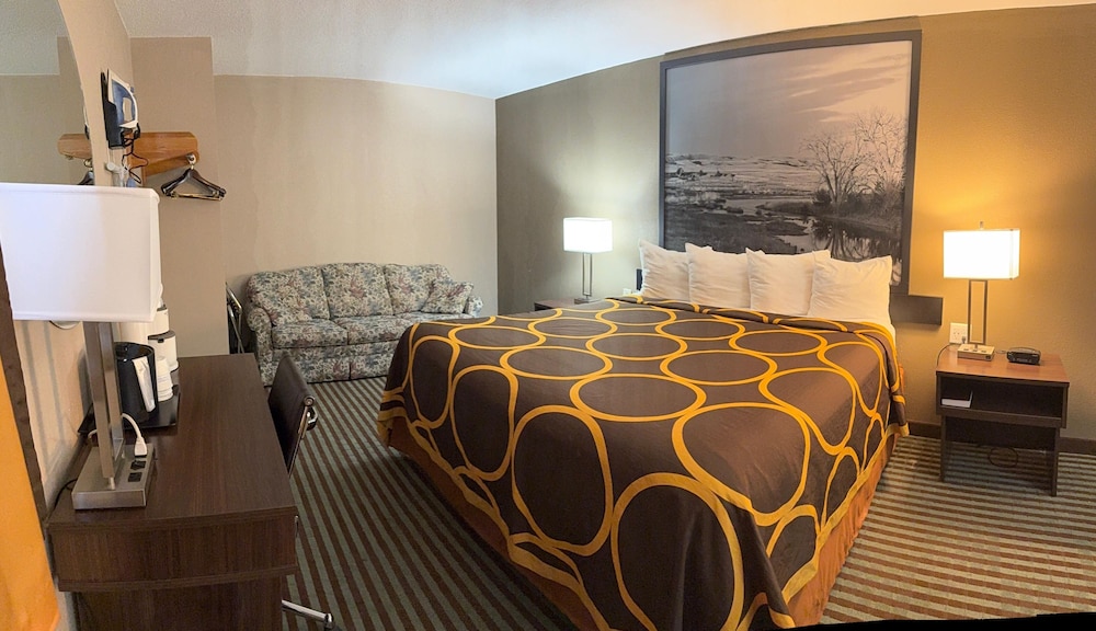 Room, 1 King Bed, Non Smoking photo 3