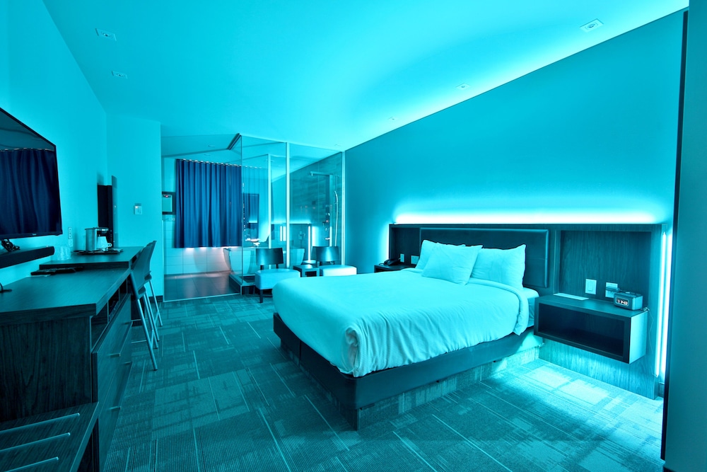 Suite, 1 Queen Bed photo 1