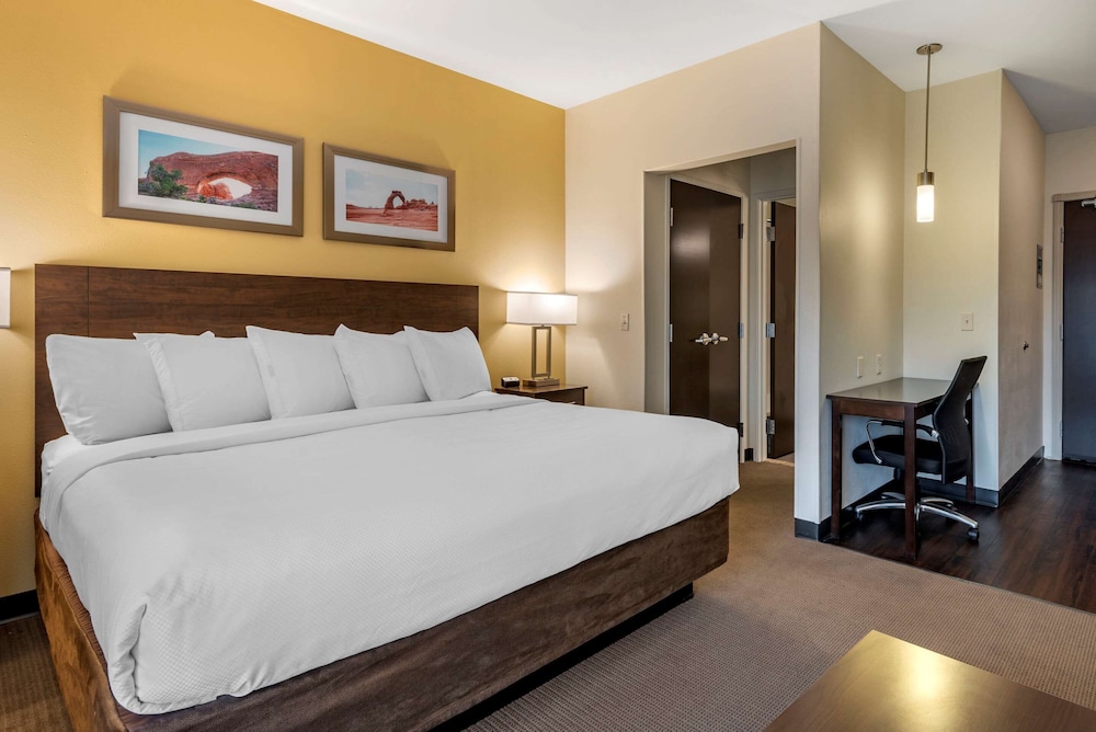 Suite, 1 King Bed, Non Smoking (Efficiency, Upper Floor) photo 3