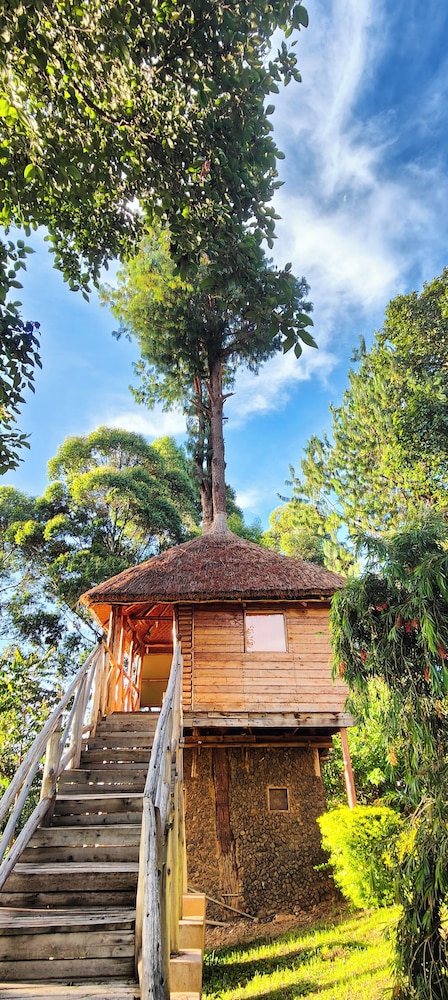 Tree Nest Oruzogo photo 1