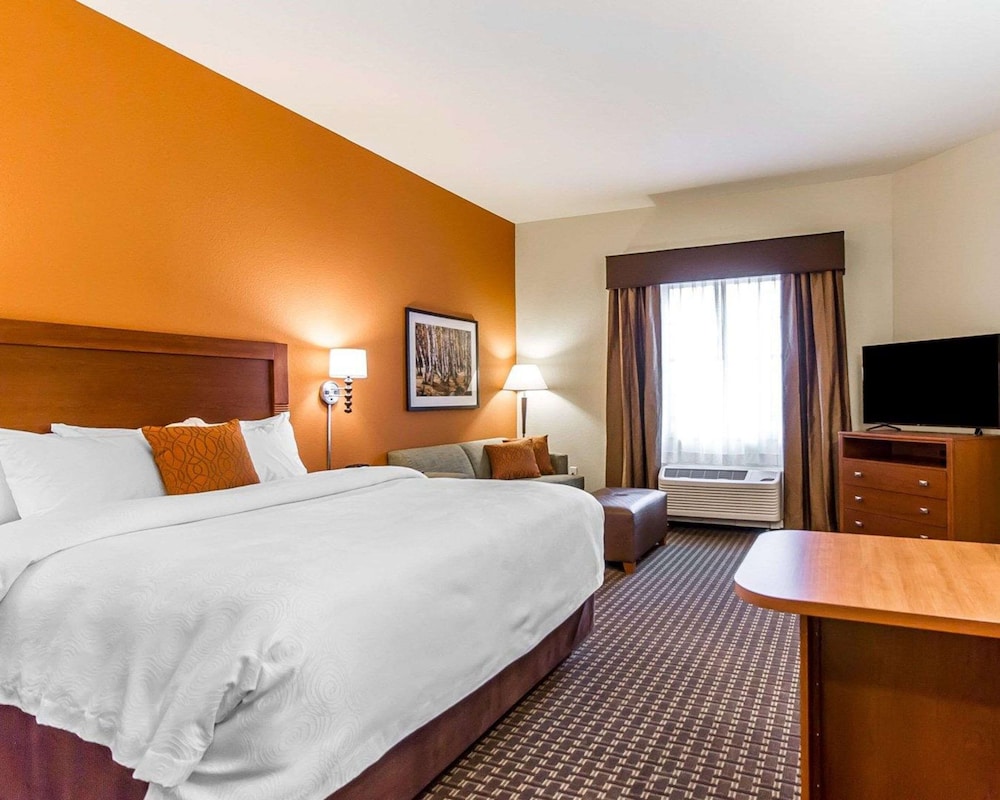Efficiency, Suite, 1 King Bed with Sofa bed, Non Smoking photo 2