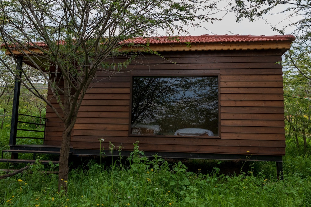 Panoramic Cabin, 3 Twin Beds, Accessible, Garden View photo 2
