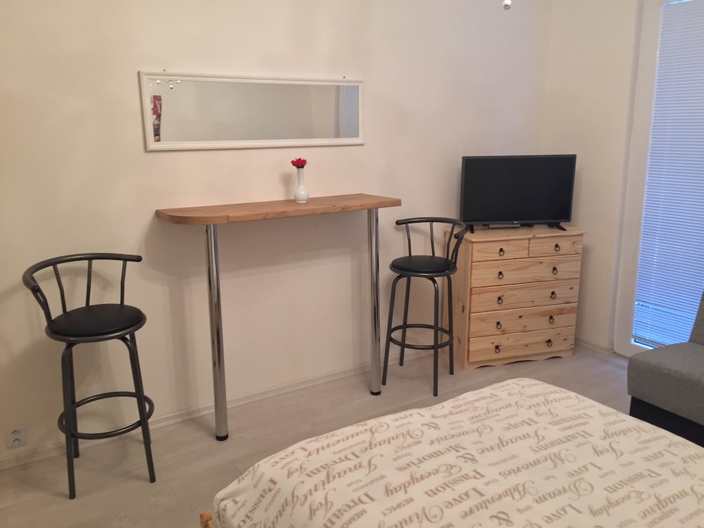 Studio, 1 Double Bed with Sofa bed photo 2