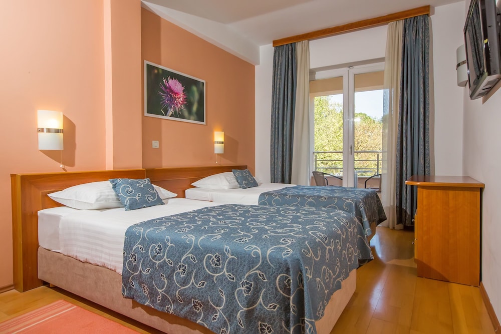 Standard Double or Twin Room thumbnail 6