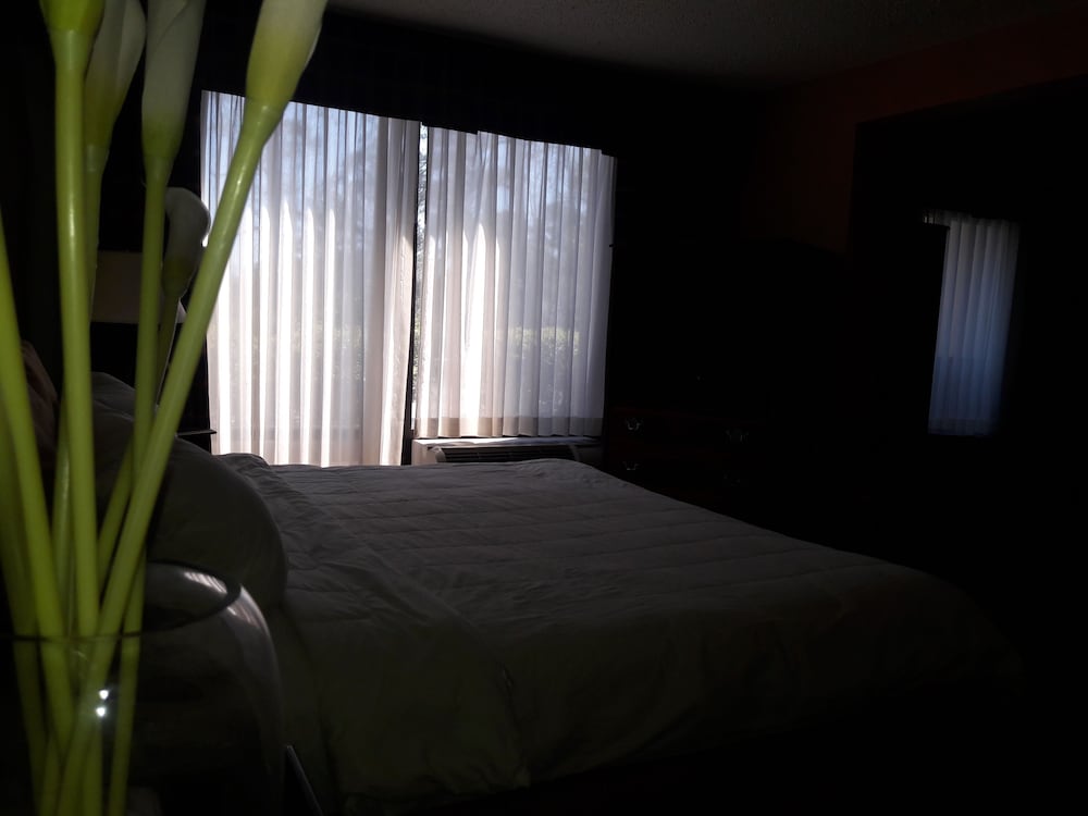 Suite, 1 King Bed, Non Smoking