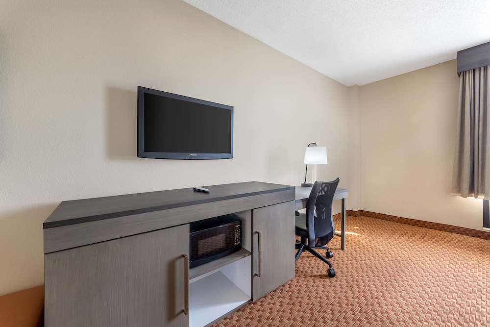 Standard Room, 1 King Bed, Accessible, Non Smoking photo 3