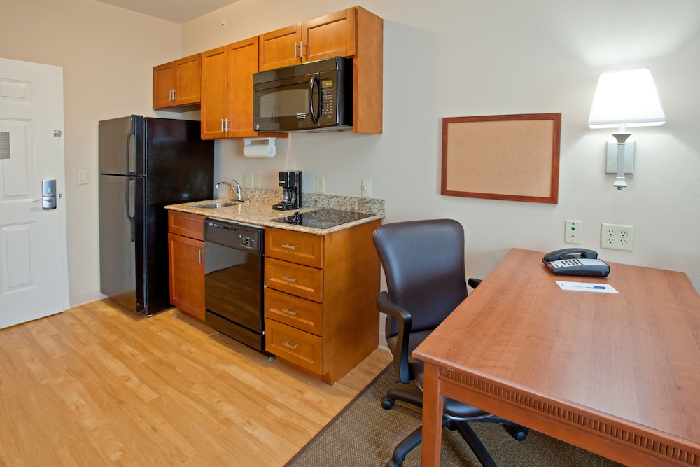 Studio Suite, 2 Double Beds - Photo 1