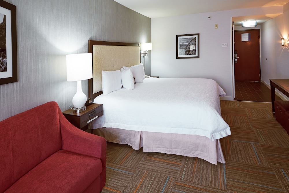 Room, 1 King Bed, Accessible (Roll-In Shower) - Photo 3
