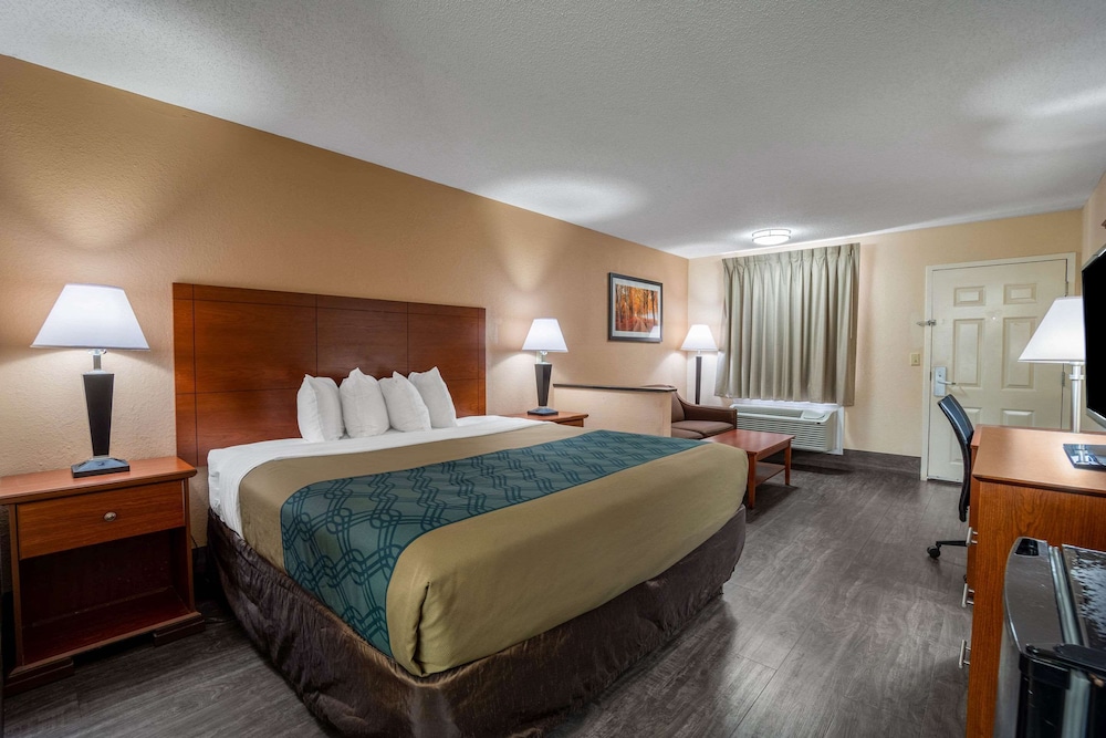 Suite, 1 King Bed, Smoking photo 2