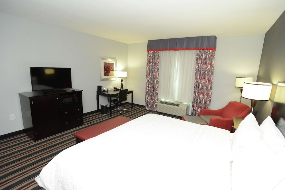 Room, 1 King Bed, Accessible photo 1
