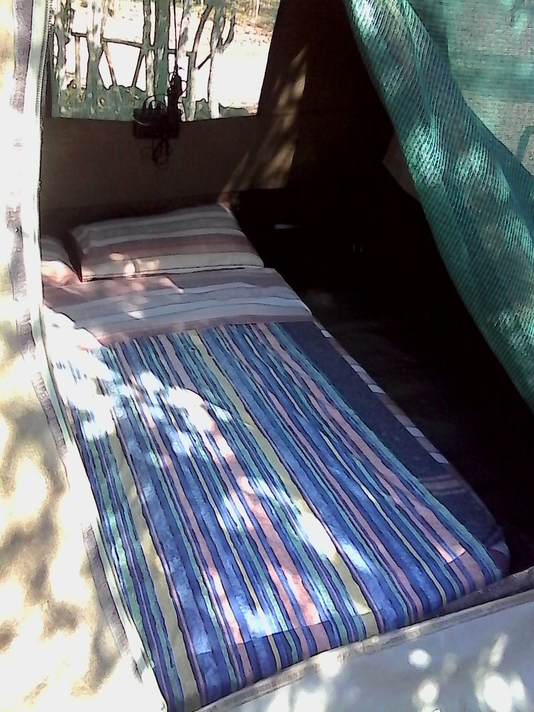 Basic Tent, 1 Bedroom