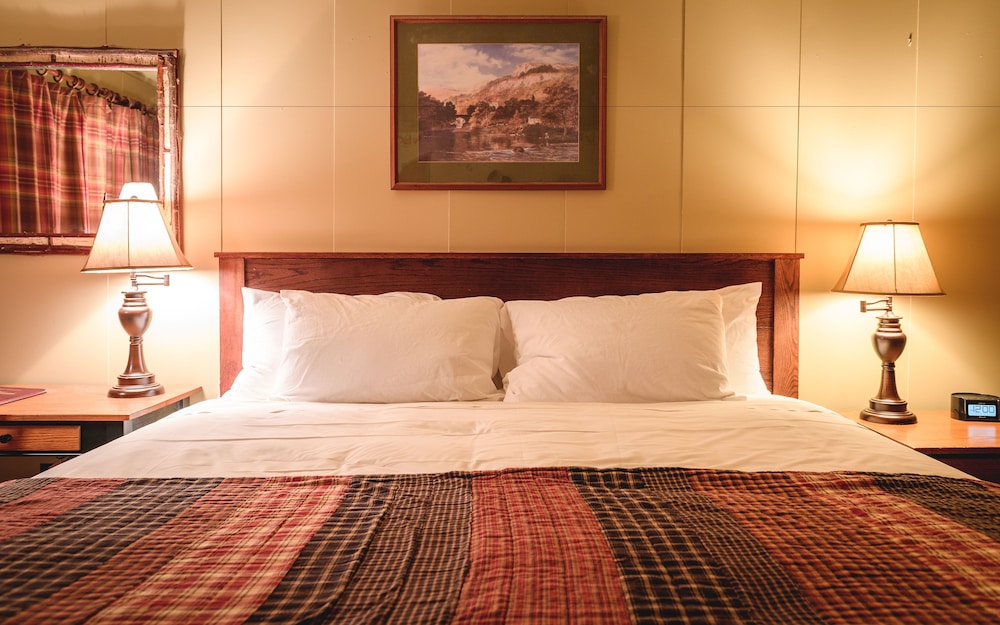 Standard Room, 1 King Bed, Mountain View photo 2