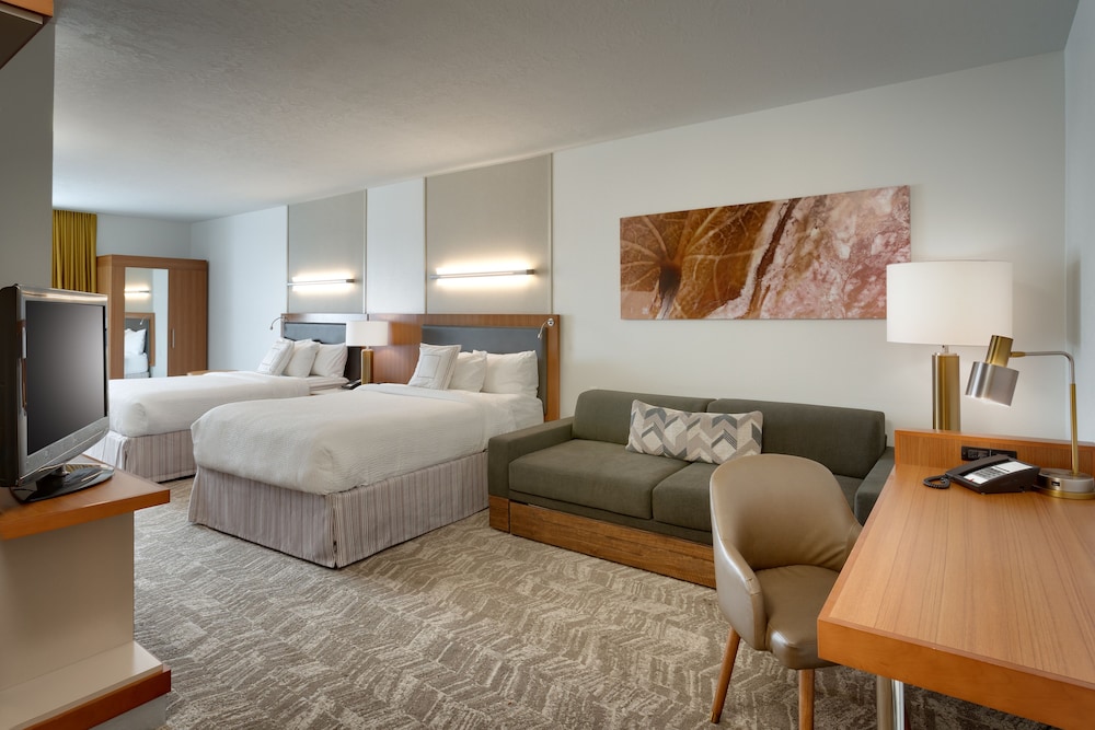 Studio, Multiple Beds - Photo 4