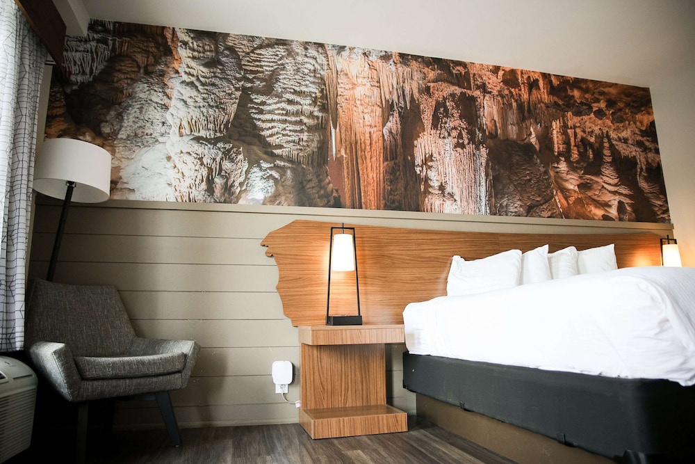 Standard Room, 1 King Bed, Non Smoking (Walk-in Shower;Theme Room) photo 2