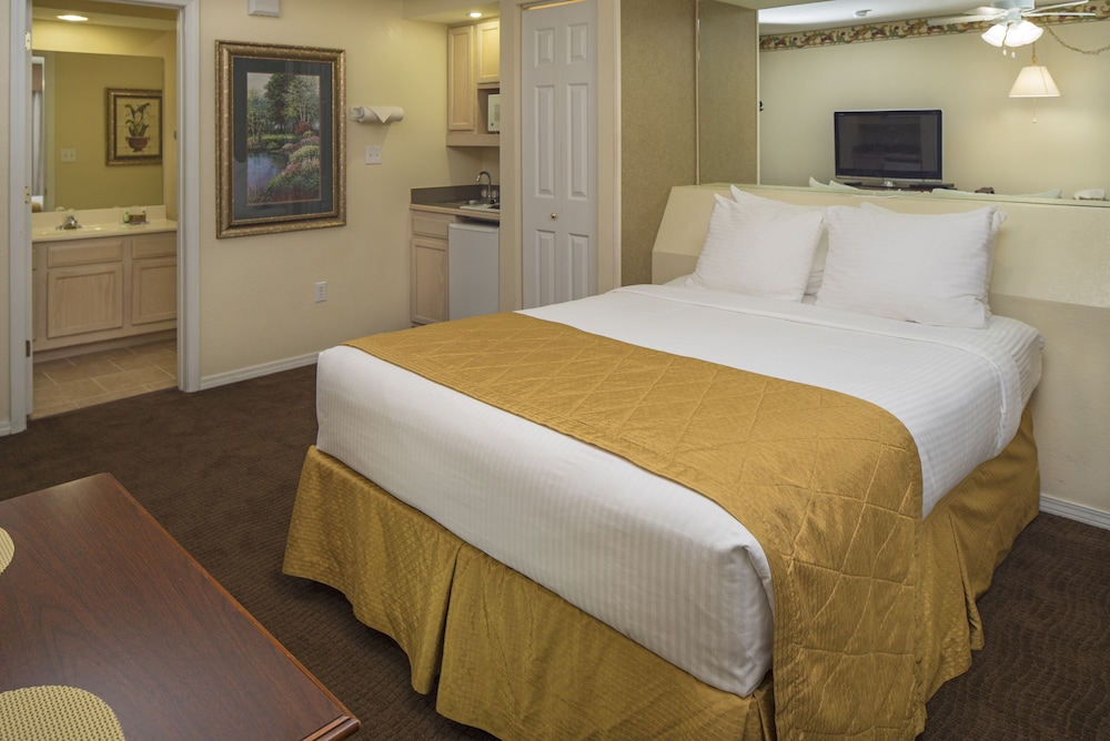 Studio, 1 Queen Bed - Photo 4