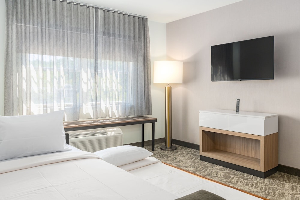 Suite, 1 Bedroom - Photo 3