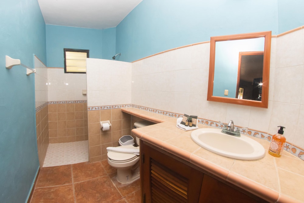 Comfort Room, 1 Bedroom, Beach View, Beachfront photo 2