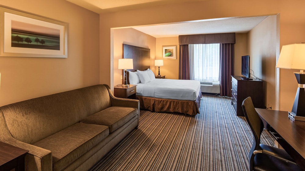 Suite, 1 King Bed, Non Smoking, Refrigerator & Microwave (With Sofabed)