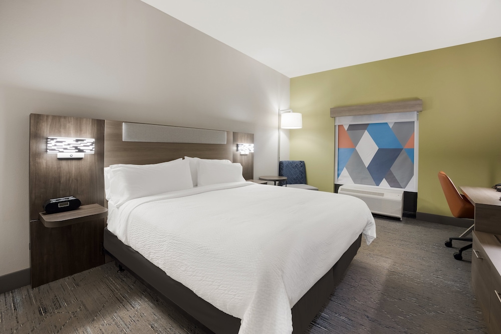 Suite, 1 King Bed, Accessible (Mobility, Accessible Tub) - Photo 1