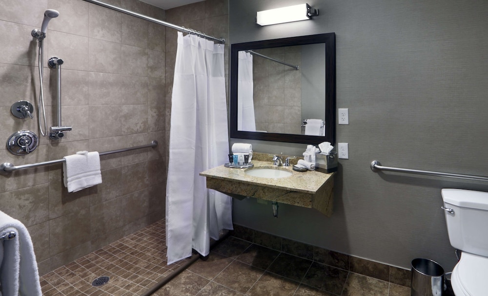 Standard Room, 1 Queen Bed, Accessible (Mobility & Hearing, Roll-in Shower) - Photo 7