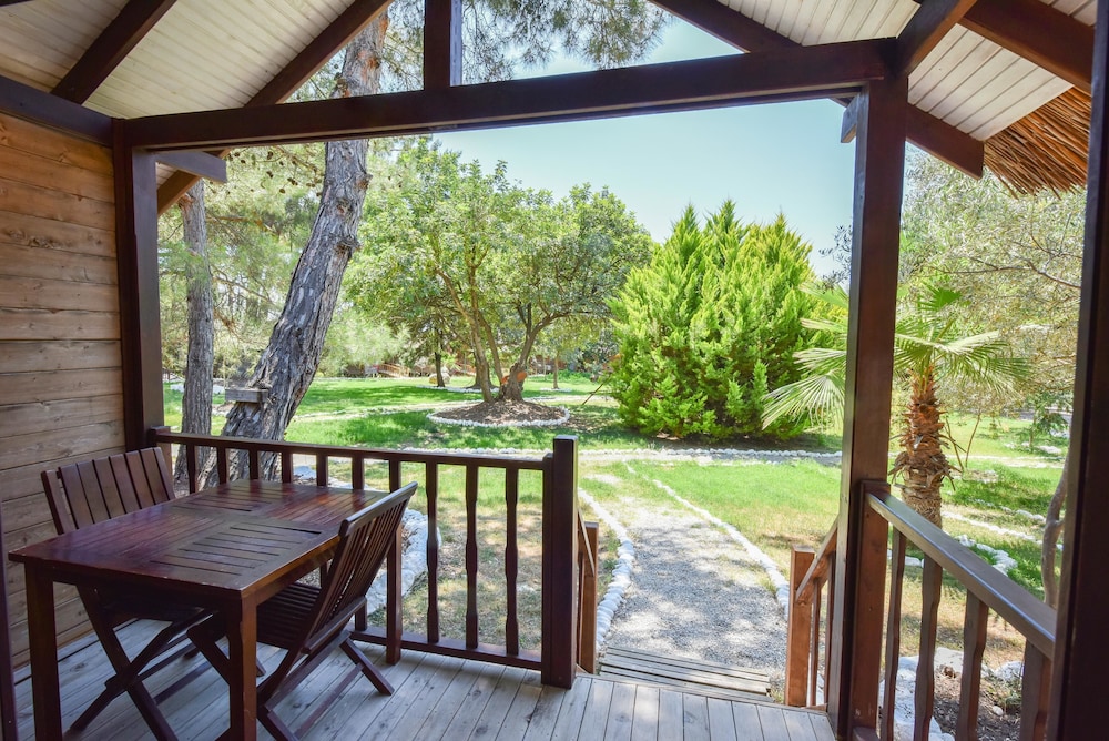 Olive Bungalow photo 3