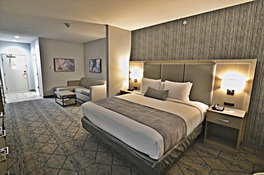 Suite, 1 King Bed, Non Smoking, Kitchenette (Shower Only;with Sofabed) - Photo 1