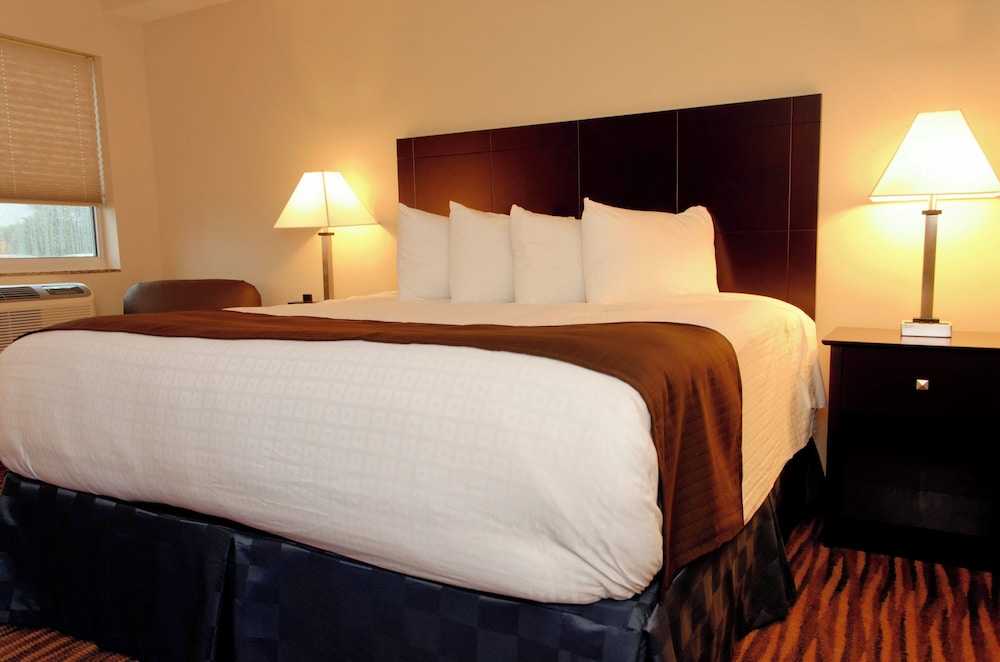 Room, 1 King Bed, Accessible, Non Smoking photo 2
