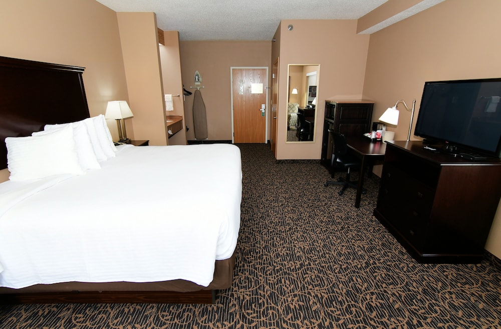 Suite, 1 King Bed, Non Smoking photo 3