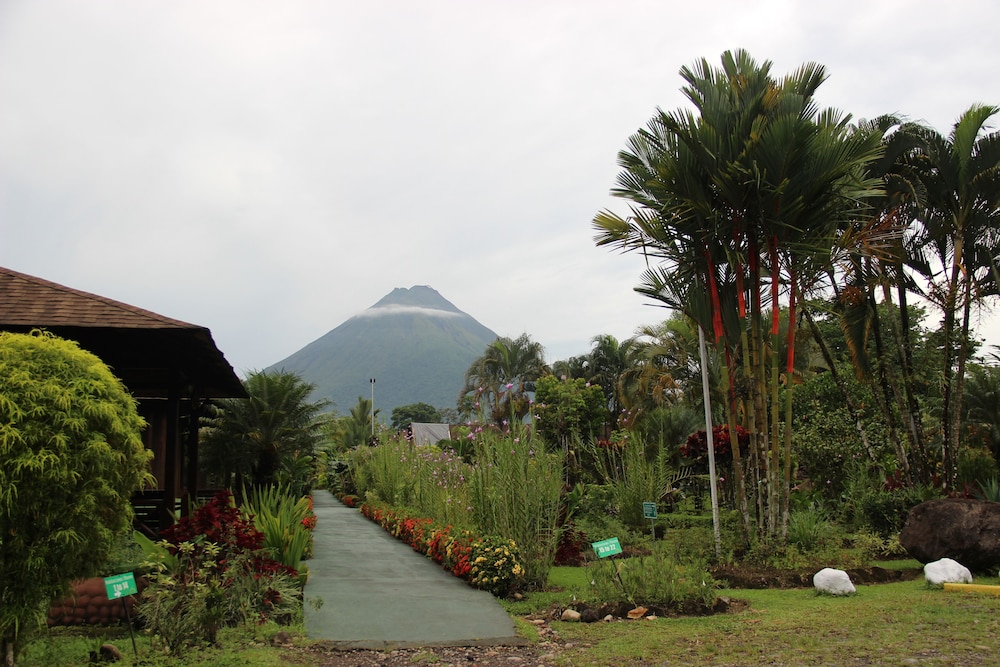 Standard Bungalow, 1 Queen Bed, Mountain View photo 3