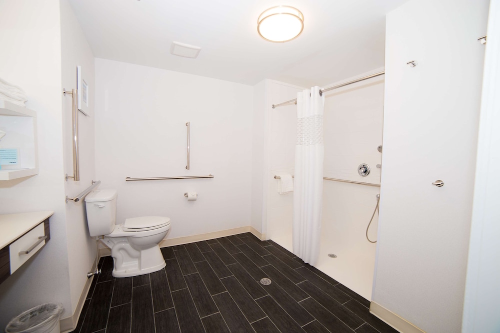 Room, 1 King Bed, Accessible (Mobility & Hearing, Roll-in Shower)