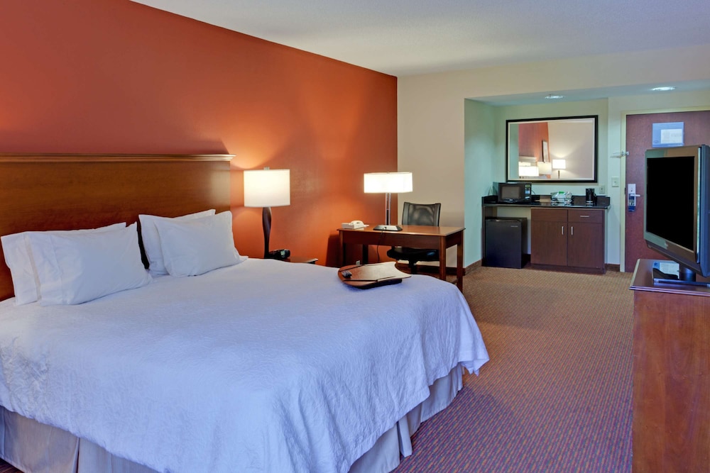 Large, One King Bed, Non-Smoking photo 3
