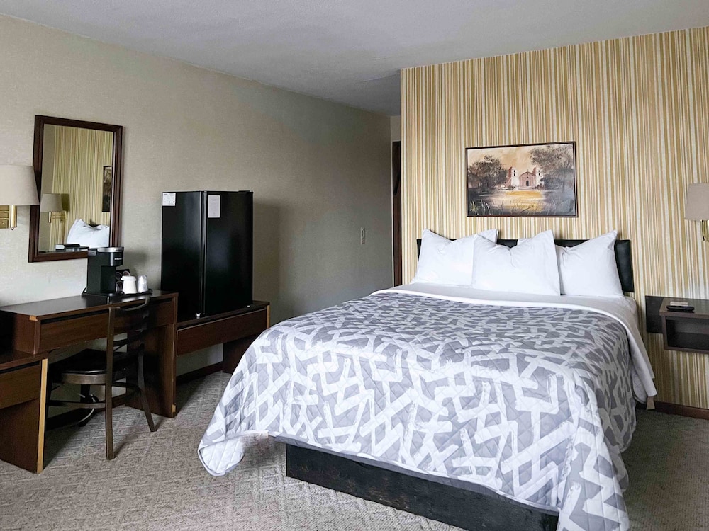 Standard Room, 1 Queen Bed, Non Smoking photo 1