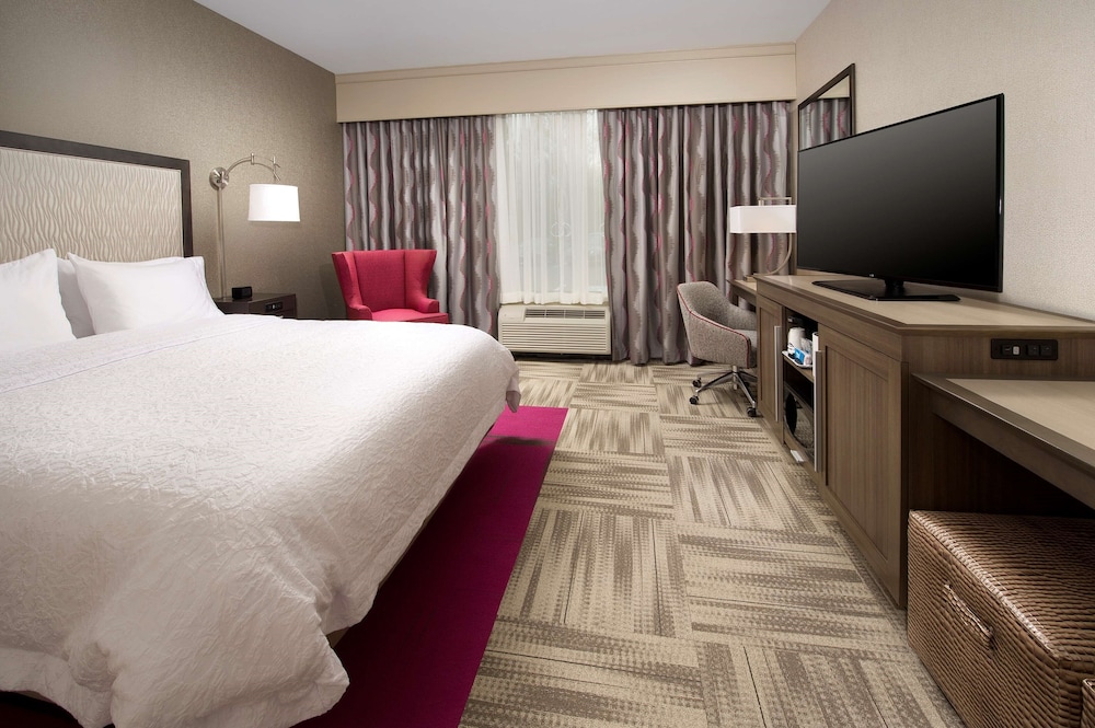Room, 1 King Bed, Accessible, Non Smoking (Roll-in Shower)