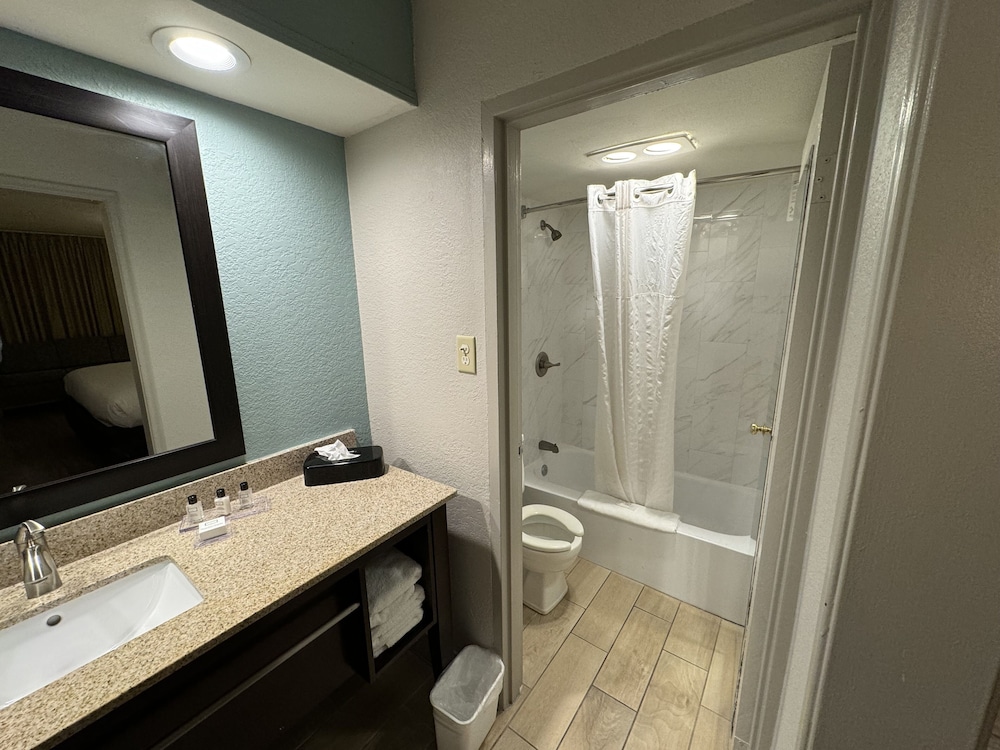 Suite, 1 King Bed - Photo 6