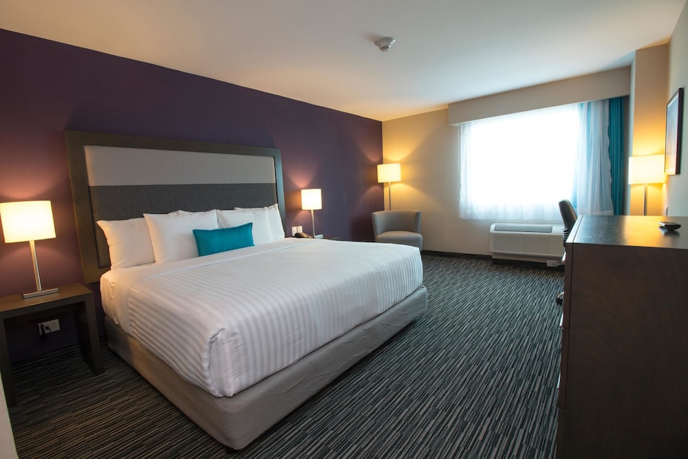 Executive Room, 1 King Bed, Non Smoking photo 3