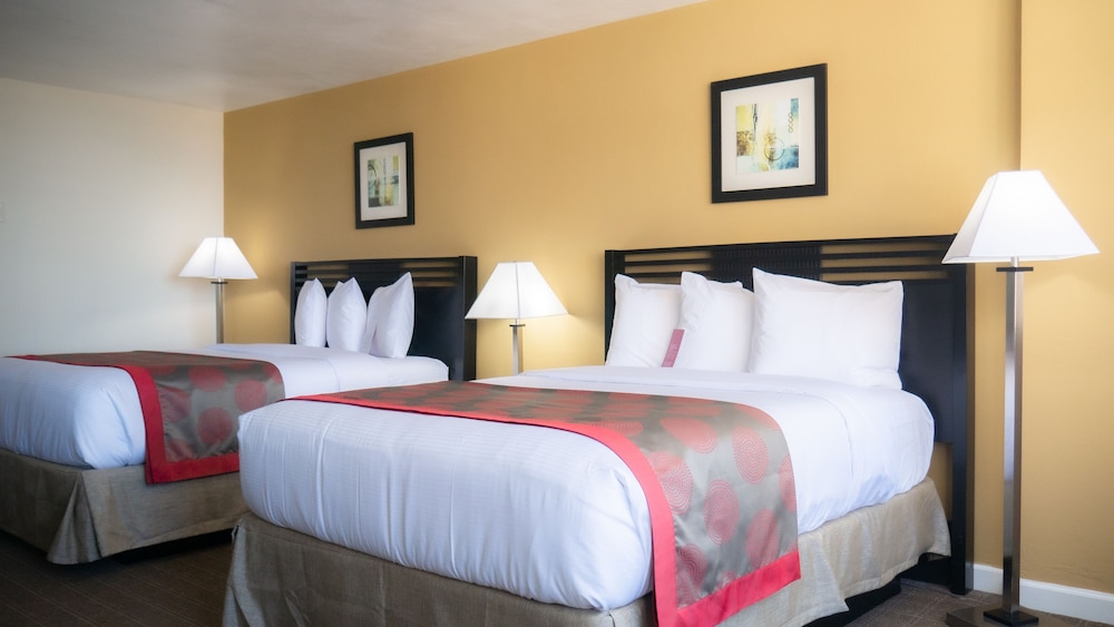 Deluxe Room, 2 Queen Beds, Kitchenette (Non-Smoking) - Photo 4