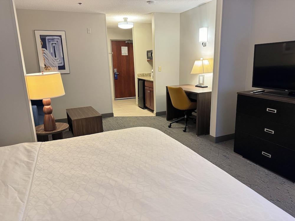 Suite, 1 King Bed - Photo 1