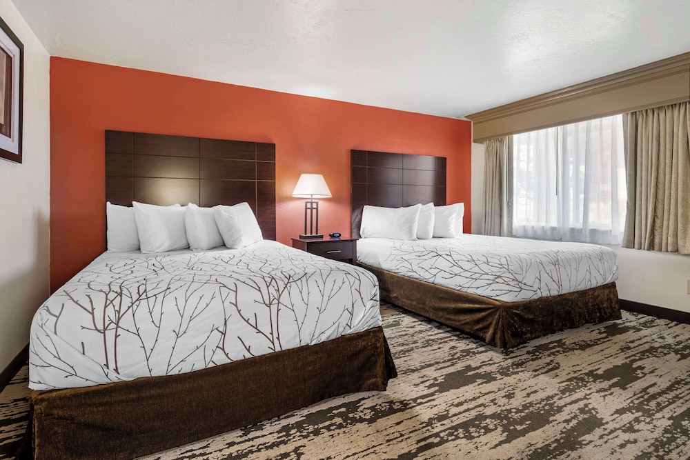 Standard Room, 2 Queen Beds, Accessible, Refrigerator & Microwave - Photo 1