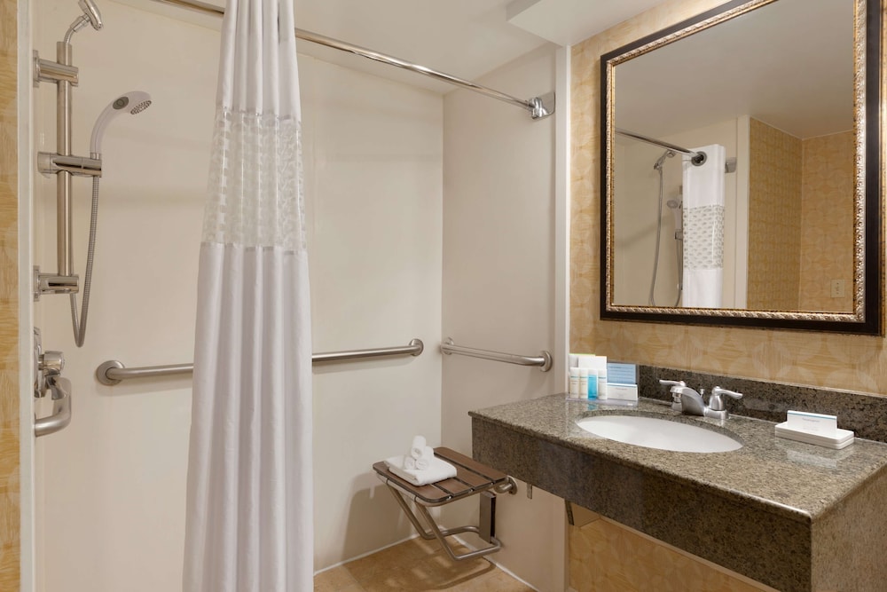 Accessible Room, 1 King Bed (Mobility Bathtub) photo 2