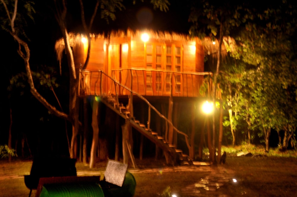 Tree House photo 3