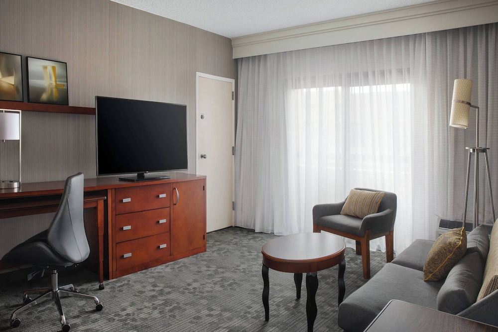 Suite, 1 King Bed with Sofa bed photo 3