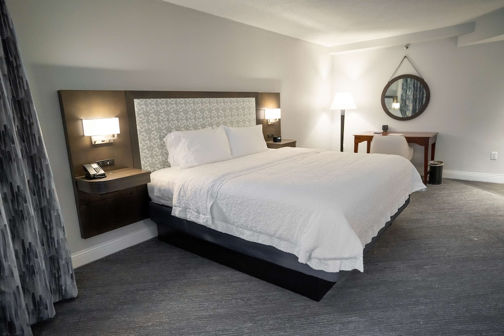 Junior Suite, 1 King Bed - Photo 3