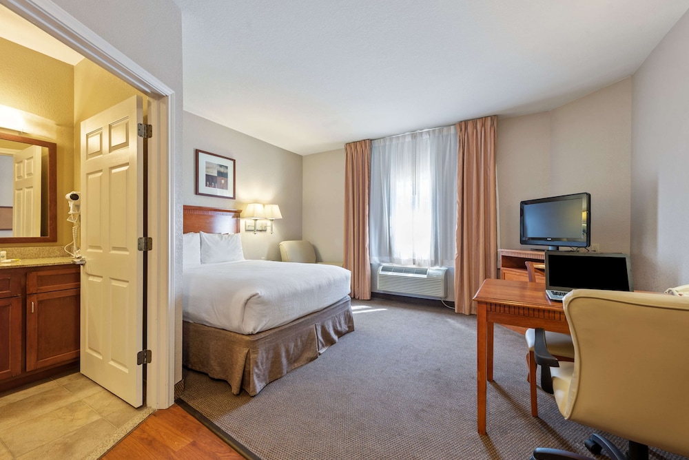 Standard Studio, 1 Queen Bed, Non Smoking, Refrigerator & Microwave - Photo 2
