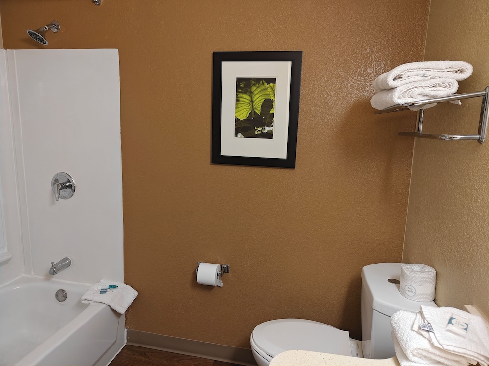 Suite, Multiple Beds, Mobility Accessible, Non Smoking (Bathtub W/grab Bars) - Photo 4
