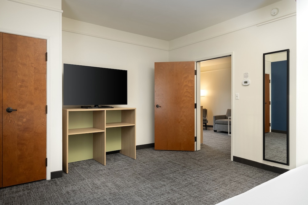Suite, 1 King Bed - Photo 2