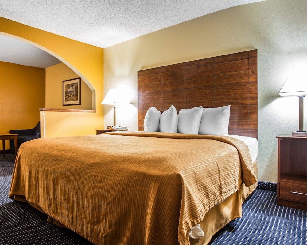 Room, 1 King Bed, Accessible, Non Smoking photo 1