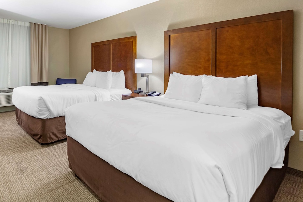 Standard Room, 2 Queen Beds, Non Smoking (Pet Friendly) photo 3